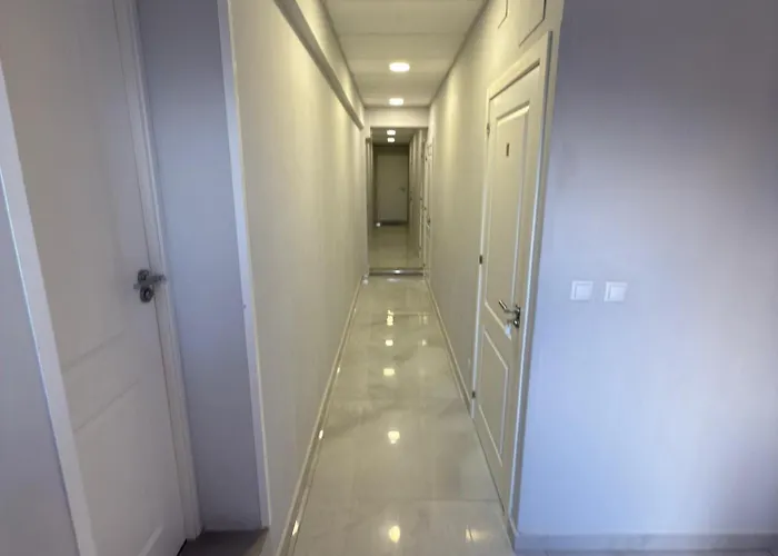 Noy Летний дом